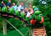 plopsaland attractie