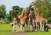 safaripark beeksebergen