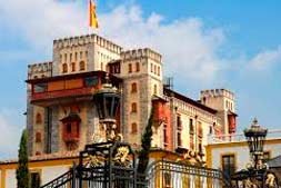 Hotel Castillo Alcazar 